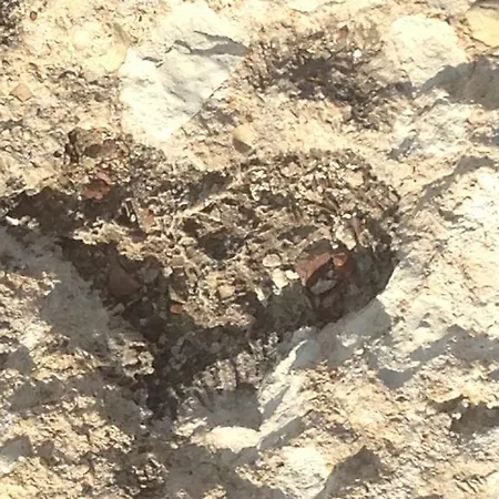 Paradise Traditional House