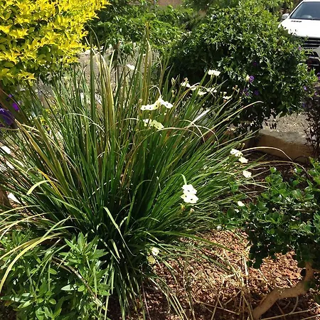 Tatil Evi Paradise Traditional House *