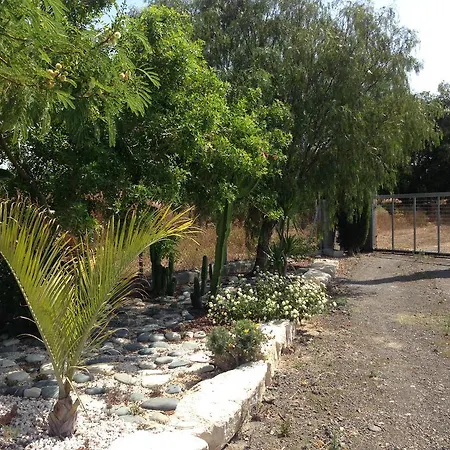 Tatil Evi Paradise Traditional House