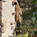 Holiday home Paradise Traditional House Maroni