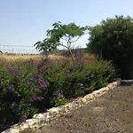 Paradise Traditional House Maroni