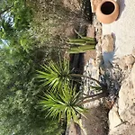 Holiday home Paradise Traditional House Maroni
