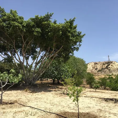 Дом отдыха Paradise Traditional House *