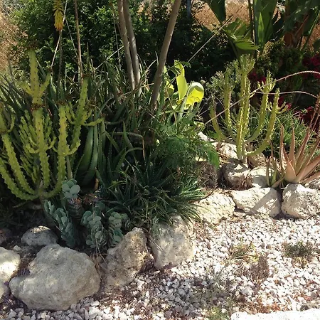 Дом отдыха Paradise Traditional House *