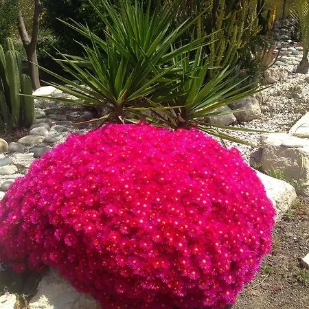 Дом отдыха Paradise Traditional House *