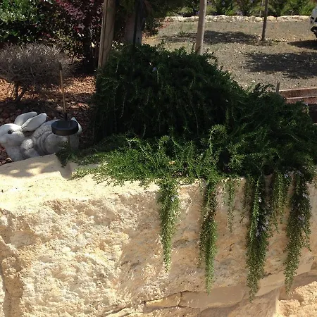 Paradise Traditional House Maroni