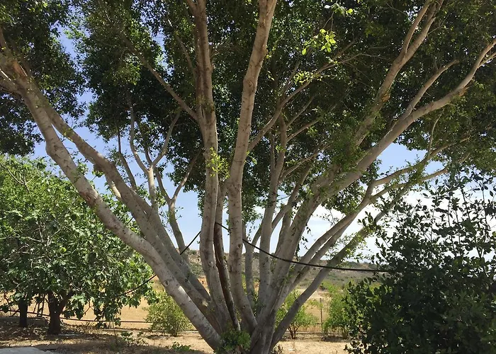 בית נופש Paradise Traditional House *