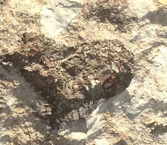 Paradise Traditional House