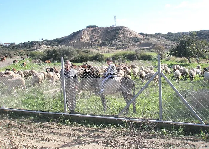 Paradise Traditional House Maroni