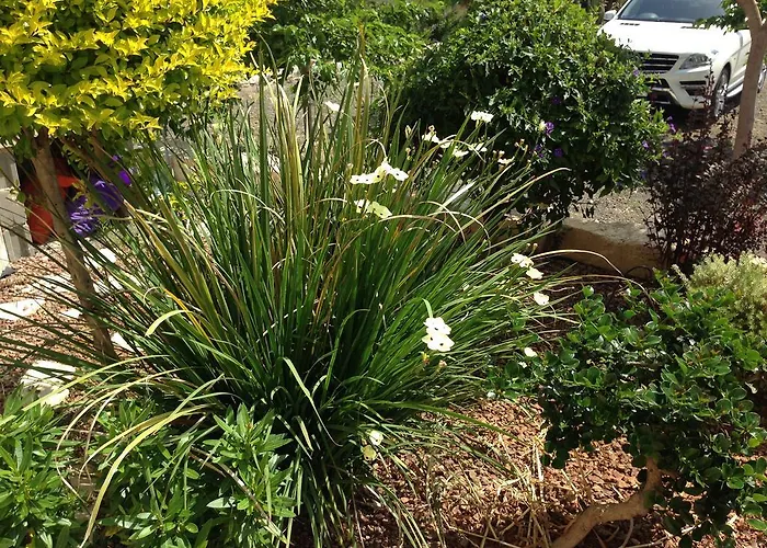 Casa de Férias Paradise Traditional House *