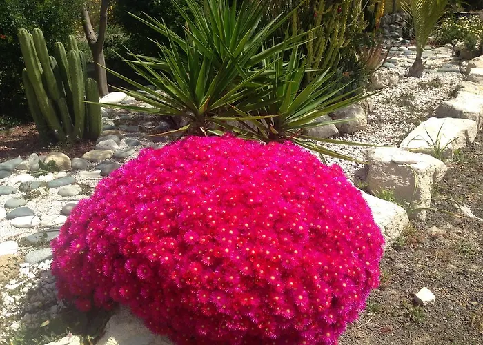 Casa de Férias Paradise Traditional House *