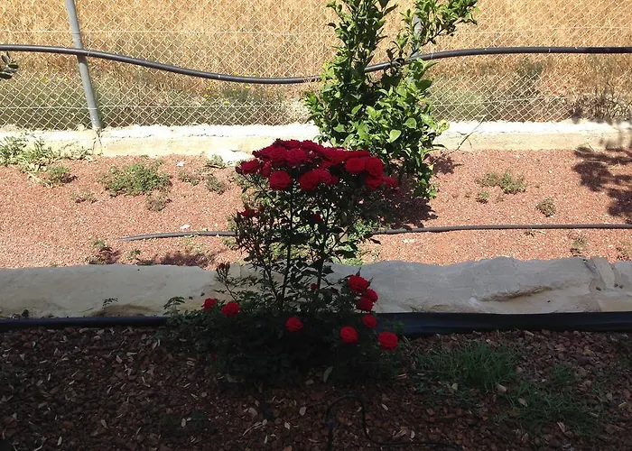 Paradise Traditional House