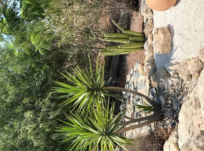 Casa de Férias Paradise Traditional House Maroni